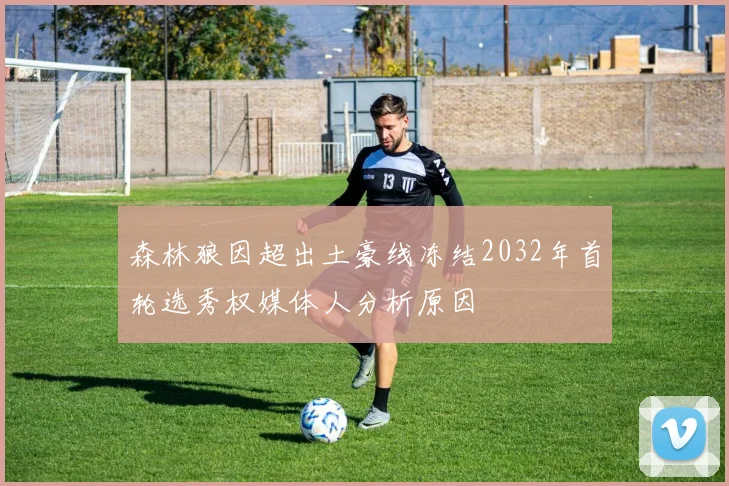 森林狼因超出土豪线冻结2032年首轮选秀权媒体人分析原因