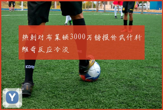 热刺对布莱顿3000万镑报价武什科维奇反应冷淡